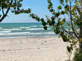 North Beach Provincial Park景点图片