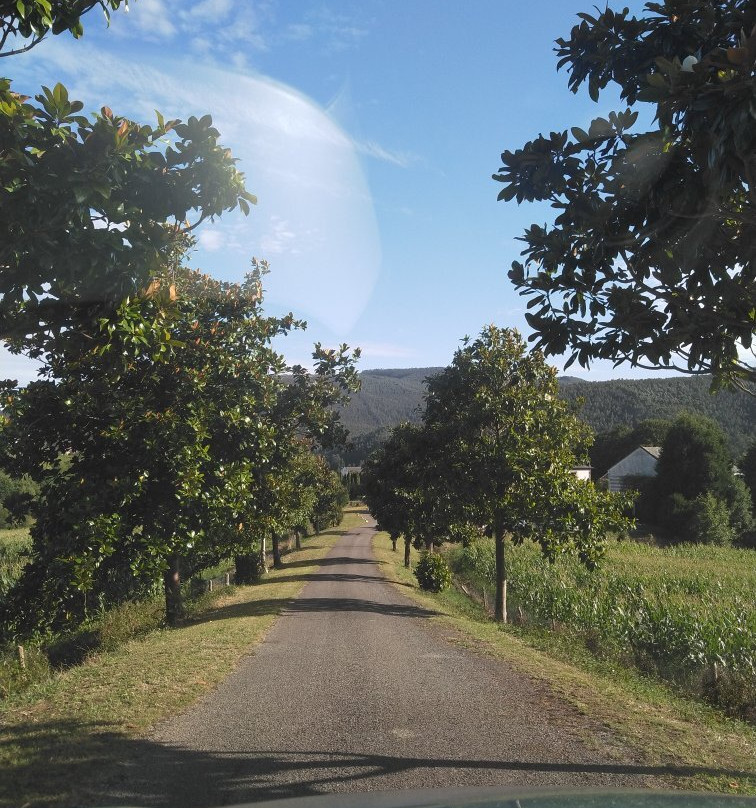 Pazo de Terrafeita主图