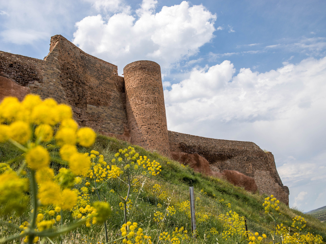 Castillo De Arnedo-Arnedo必去景点