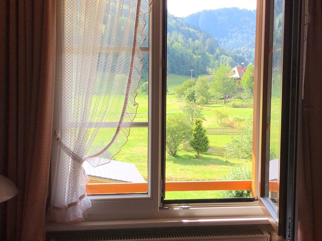 Gastehaus Wild主图