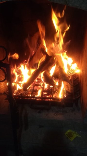 Beija Flor Chales-portrait