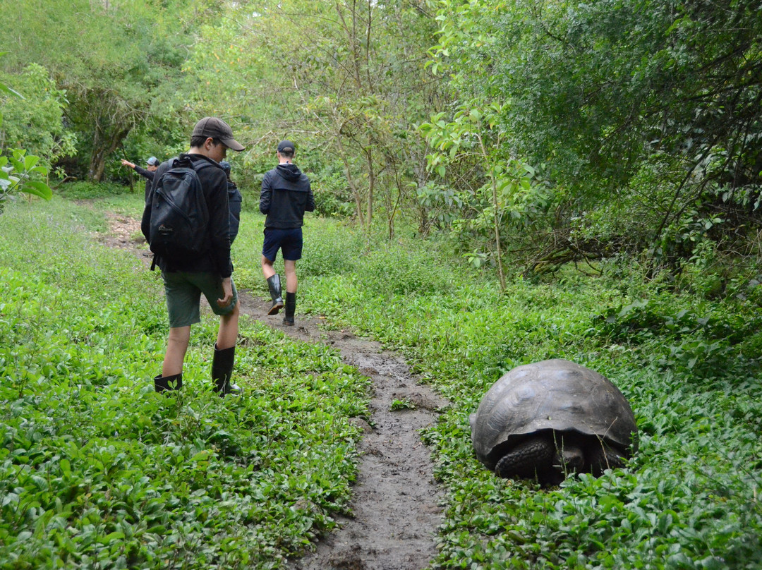 Rancho El Manzanillo-阿约拉港必去景点