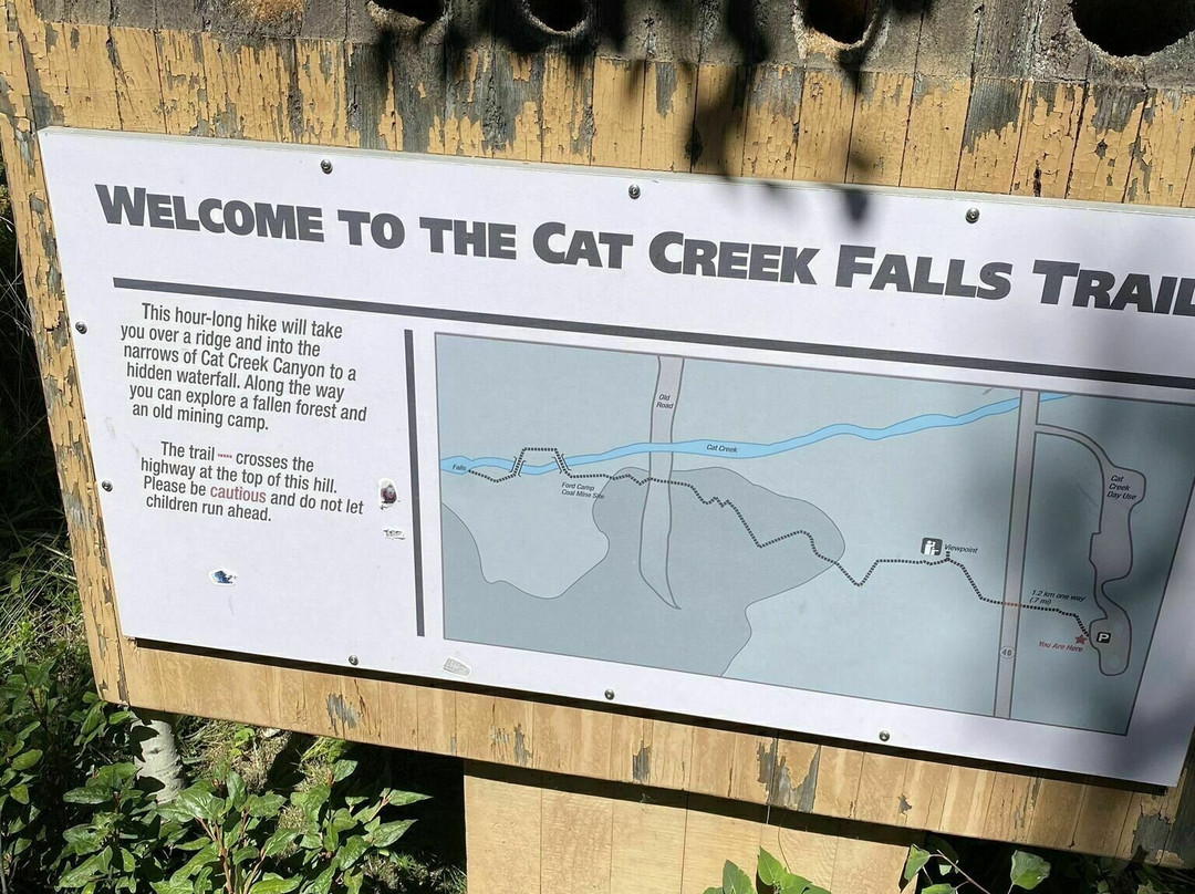 Cat Creek Falls景点图片
