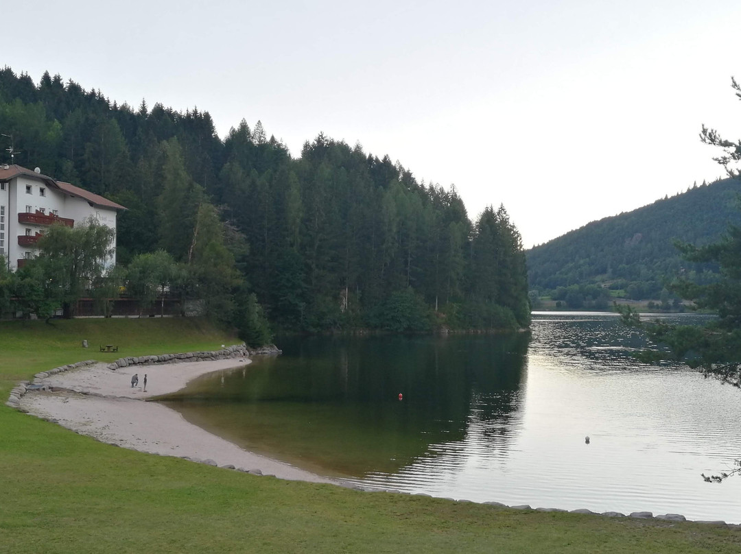 Active Hotel Pineta & Camping主图