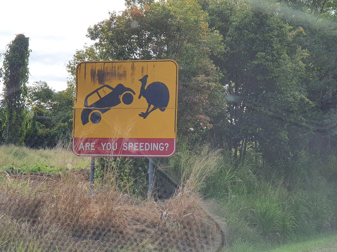 Djiru National Park-翁加灵海滩必去景点