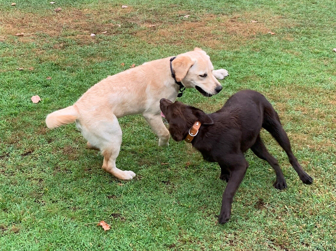 Bel Air Maison d'Hôtes des Landes主图