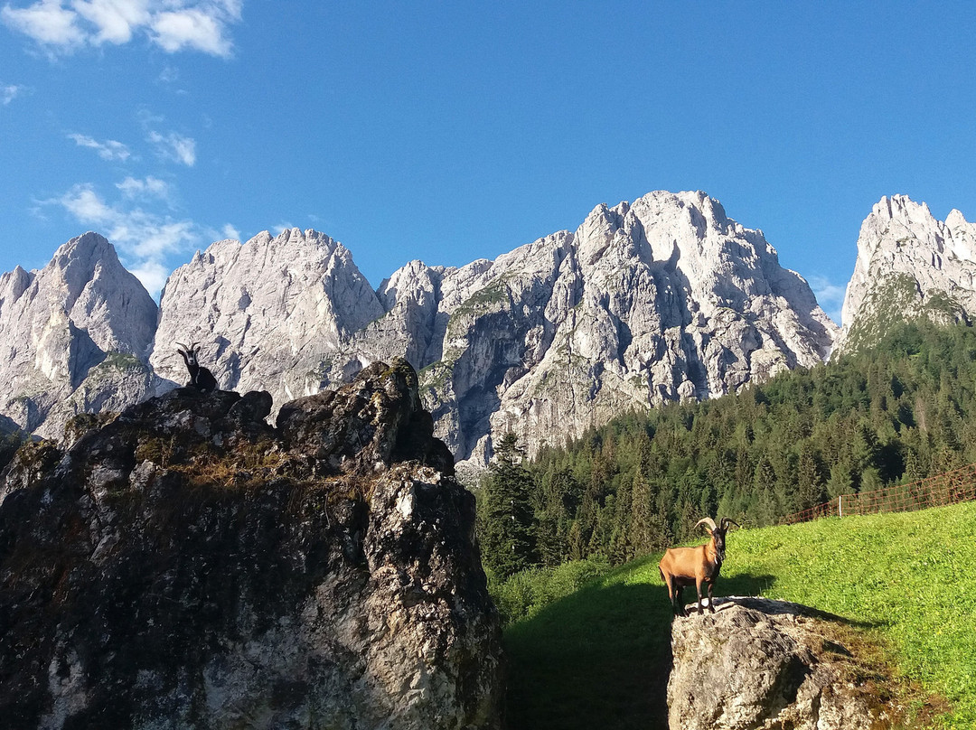 Chalet Giasenei主图