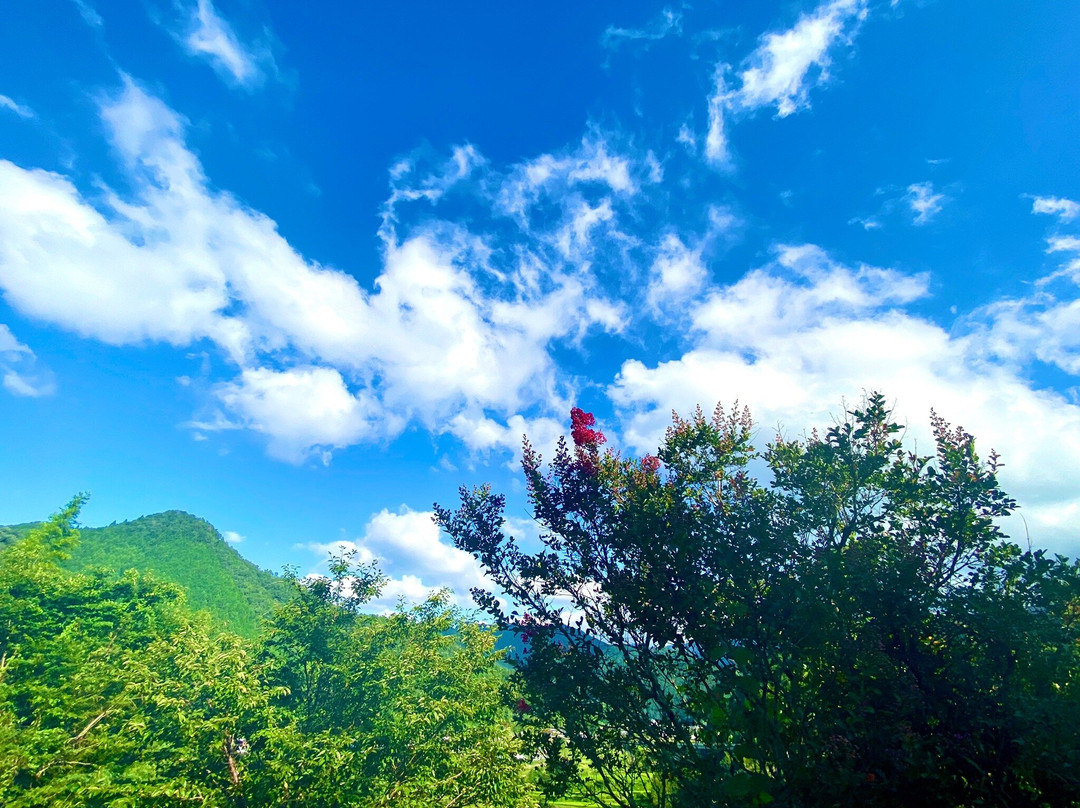 Aragijima景点图片