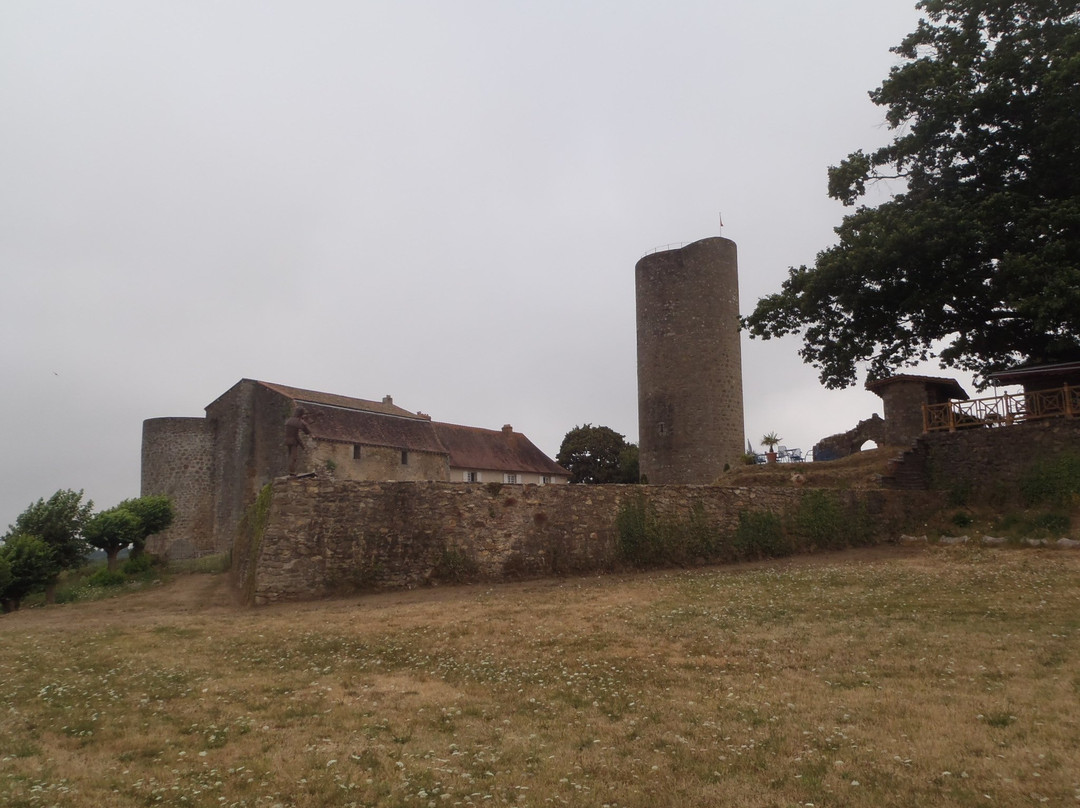 Château de Châlus-Chabrol景点图片