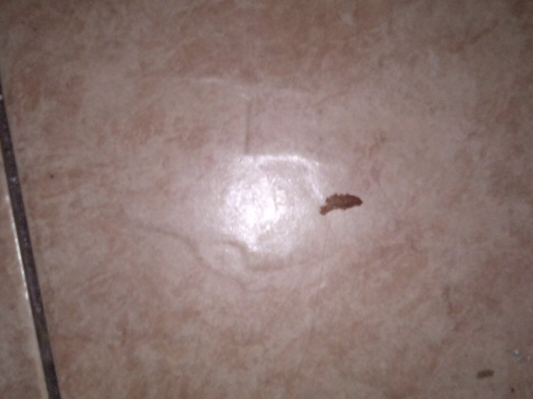 热带海滩汽车旅馆主图