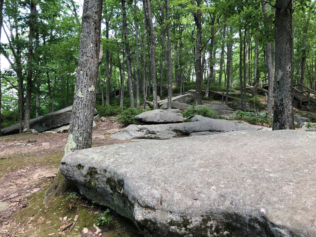 Rimrock Overlook-Warren必去景点