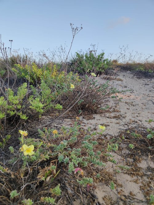 Ashdod Yam Park-阿什杜德必去景点