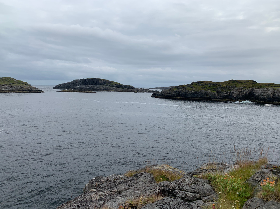 Dalniye Zelentsy旅游攻略图片