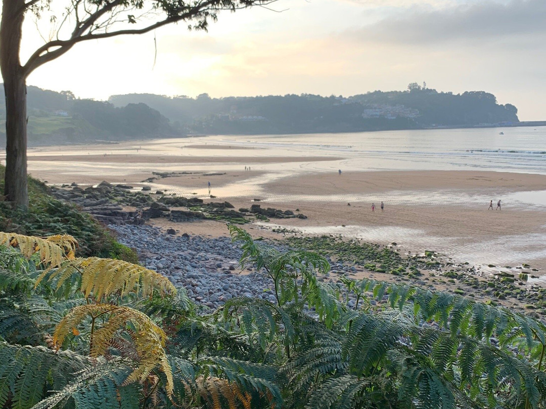 Playa de la Griega景点图片