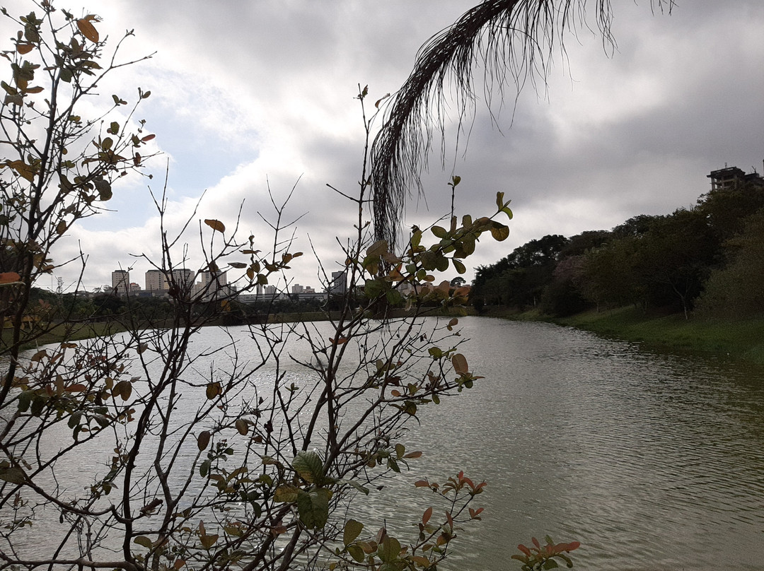 Parque Central Santo André景点图片