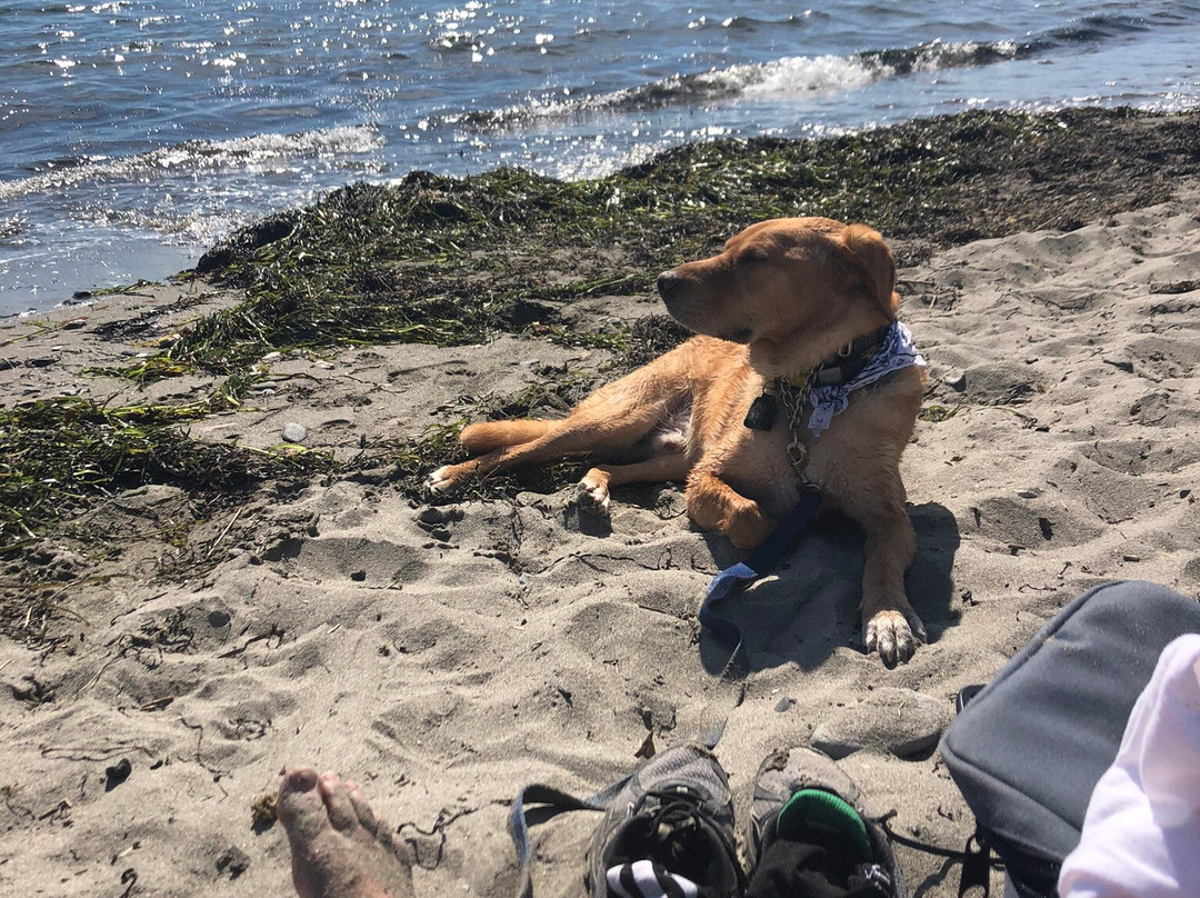 Fort Getty Park-Jamestown必去景点