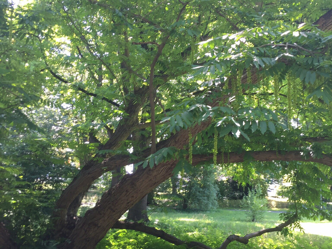 Wittelsbacher Park-奥格斯堡必去景点