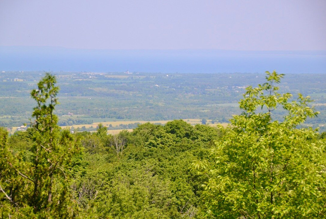 Nottawasaga Lookout Provincial Nature Reserve景点图片