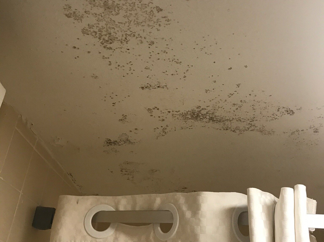 Days Inn by Wyndham Staunton主图