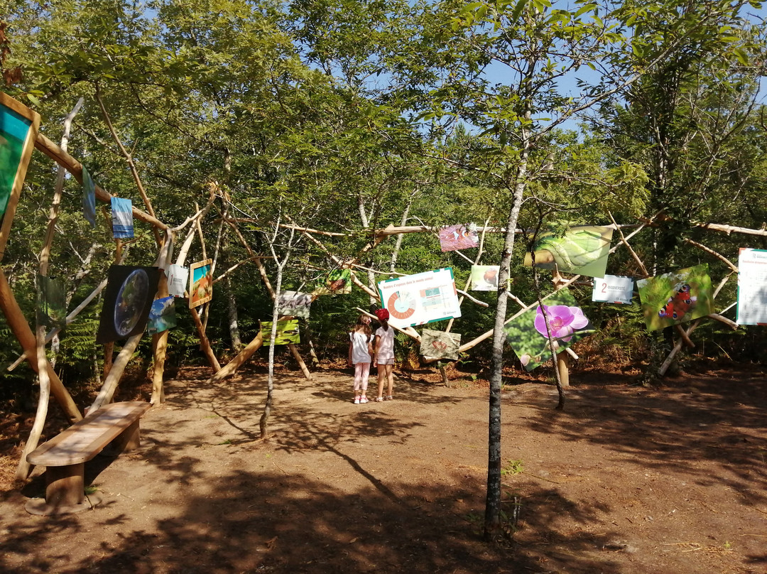 Pouydesseaux旅游攻略图片