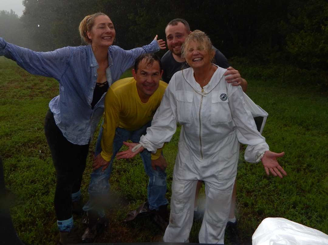 BayBees Honey, LLC-Whaleyville必去景点