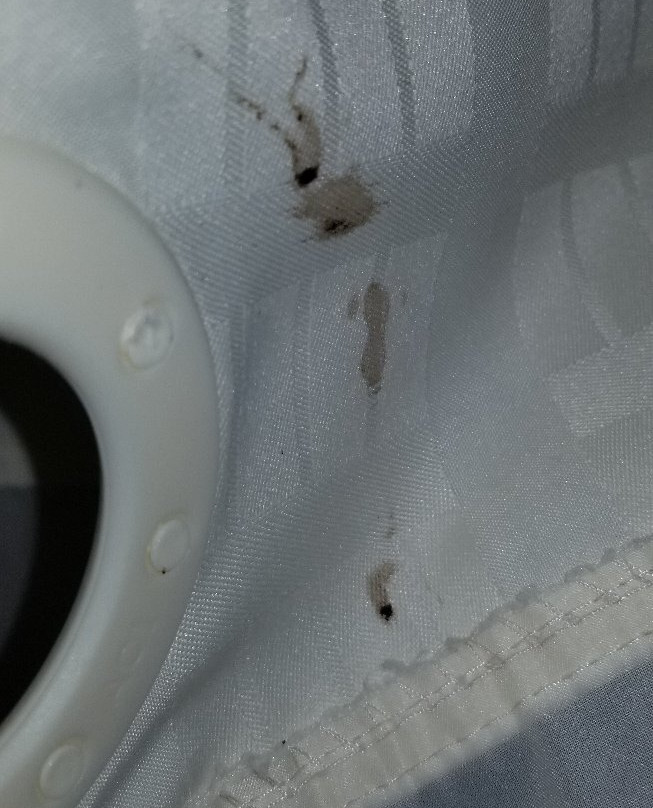 Atria Hotel & RV McGregor主图