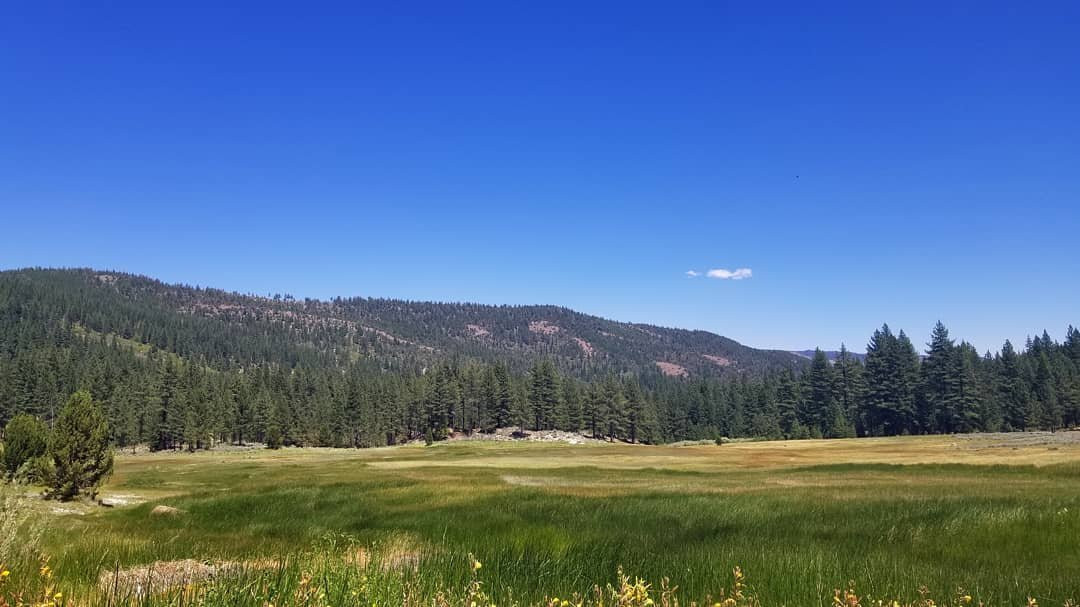 Grover Hot Springs State Park景点图片