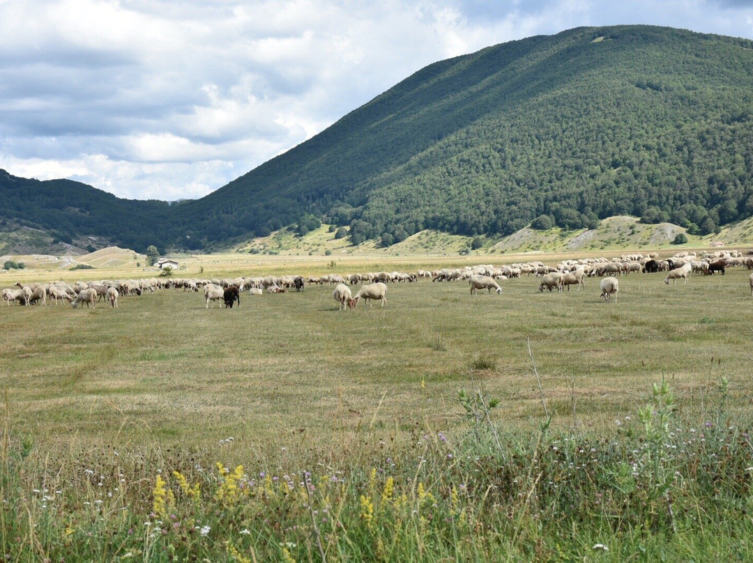 Altopiano di Rascino-Fiamignano必去景点