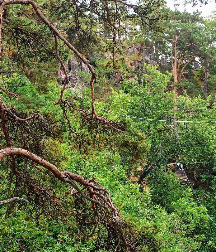 Saint Nectaire Aventures-Saint-Nectaire必去景点