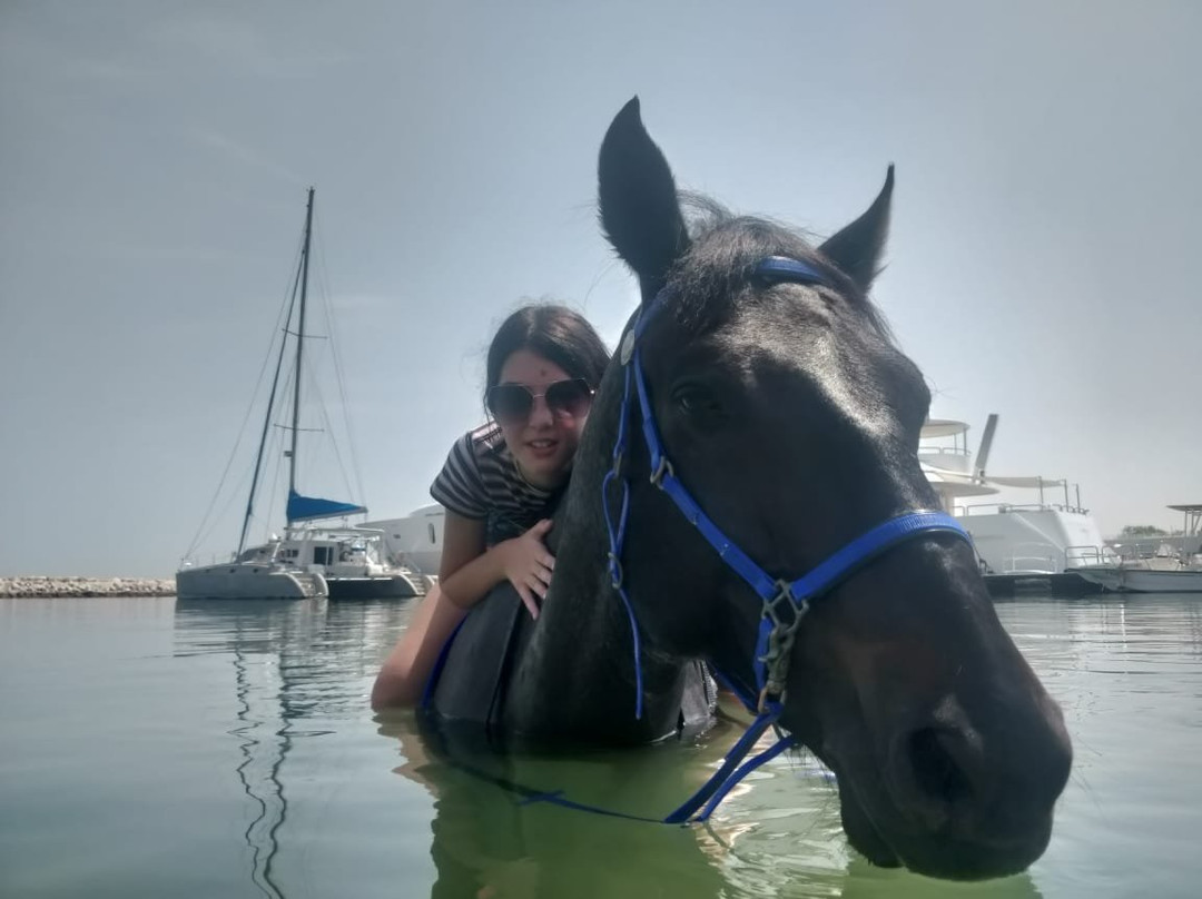 JA Equestrian Centre-杰贝阿里必去景点