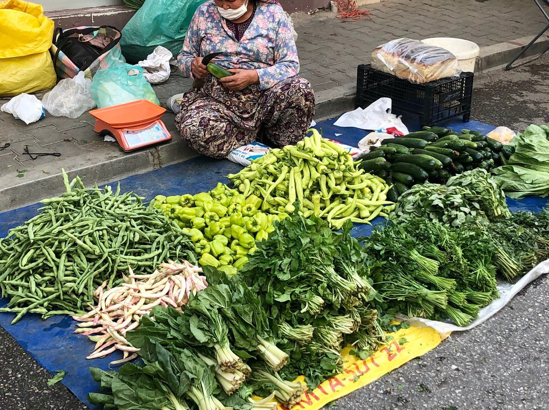 Tire Pazarı景点图片