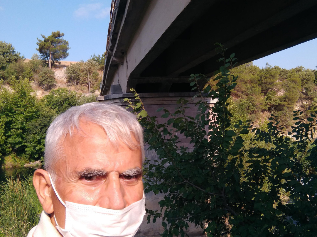 Asilhan Bey Köprüsü景点图片