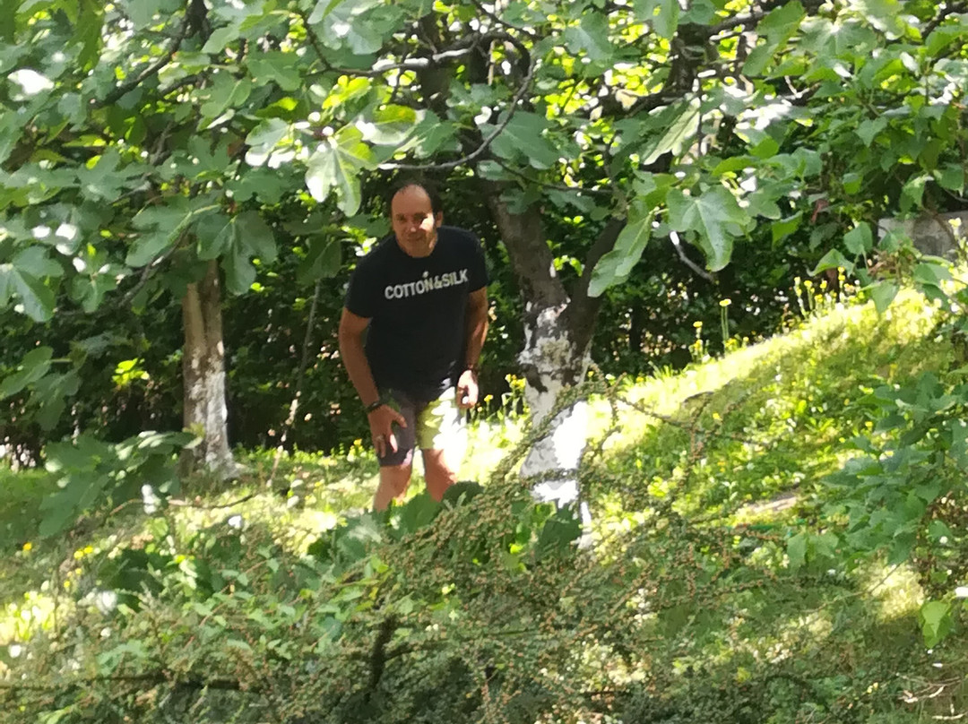 Le Ortensie Due主图