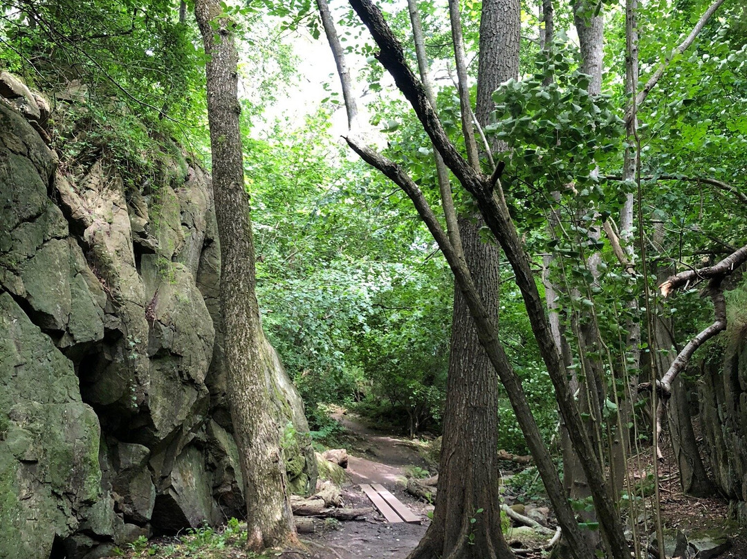Svartingedalen-Rutsker必去景点