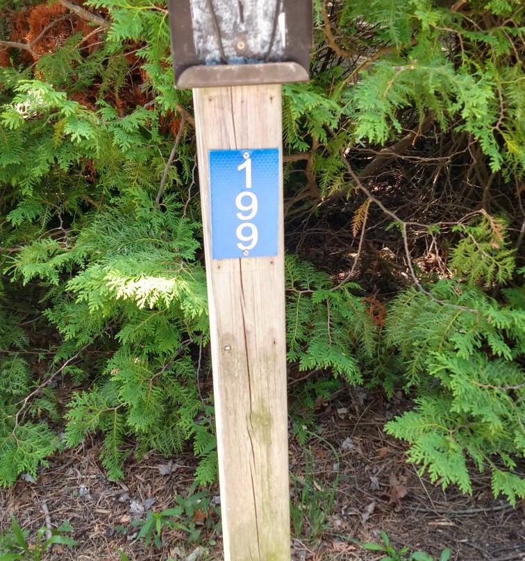 Point Farms Provincial Park景点图片