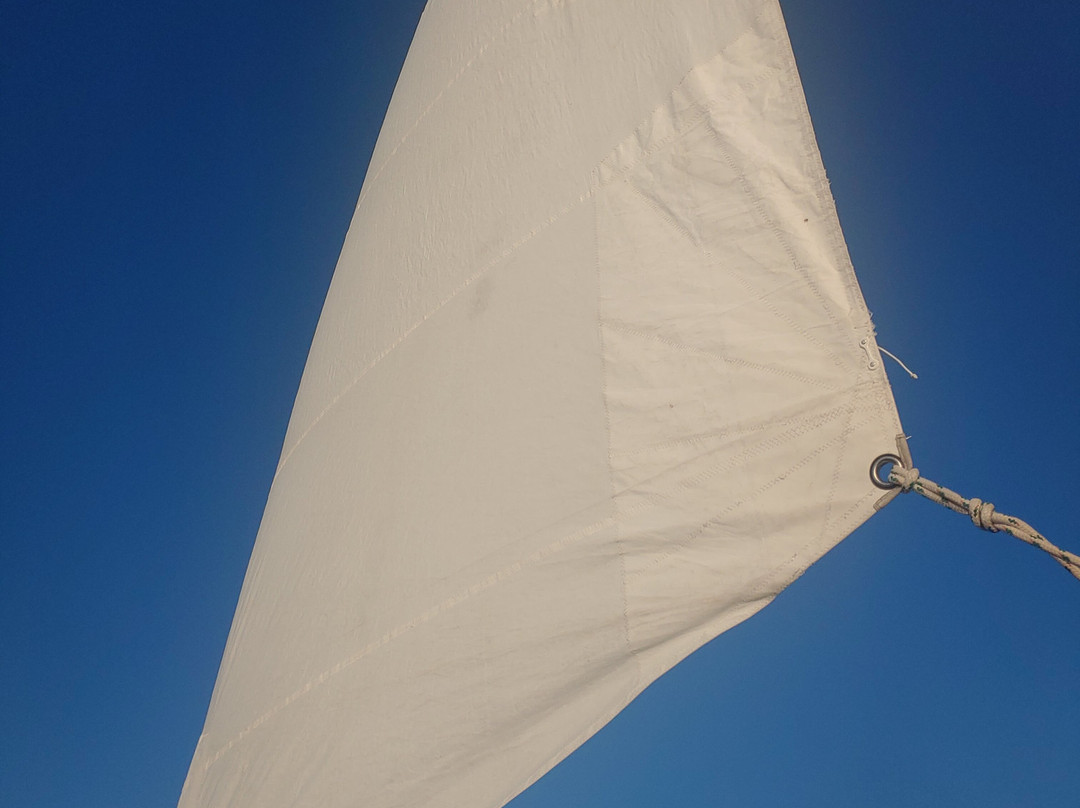 Spirit of America-Walnut Shade必去景点