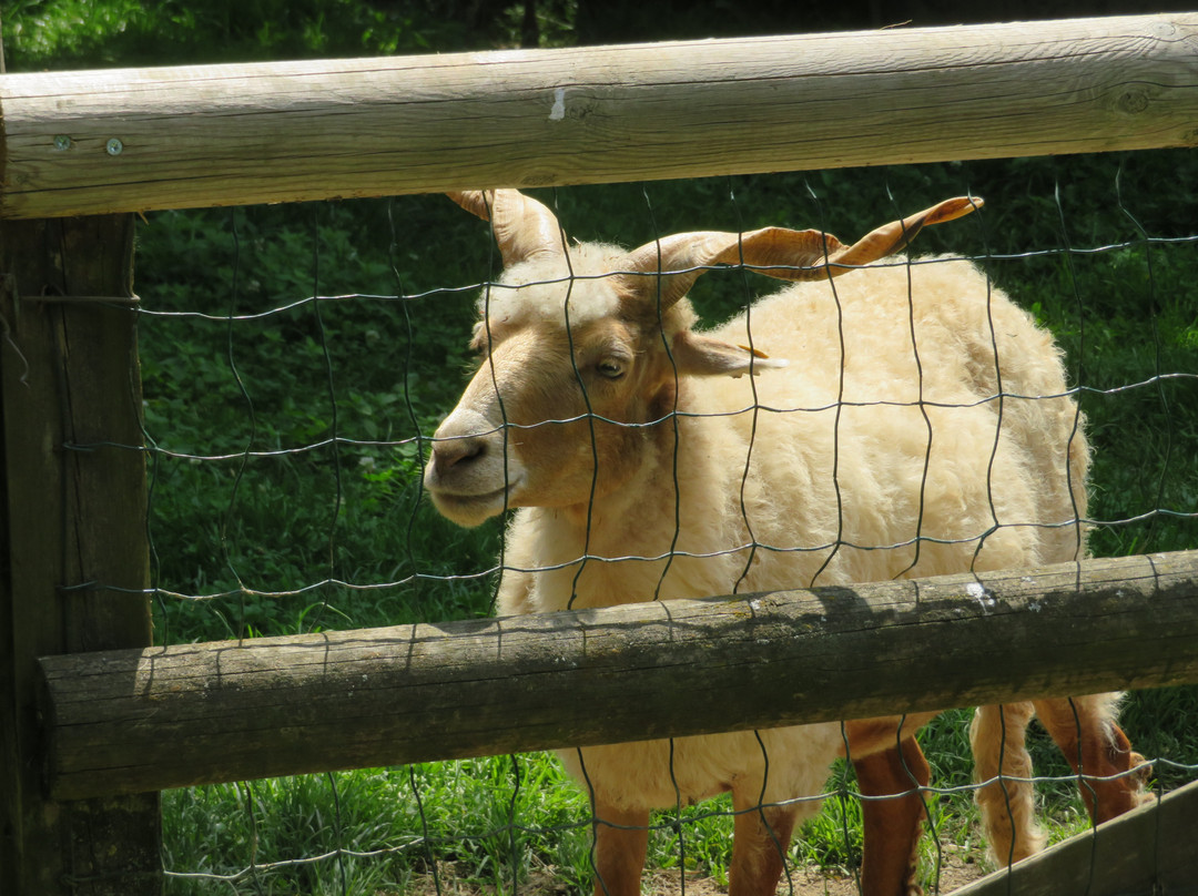 Tierpark Rosegg-Rosegg必去景点