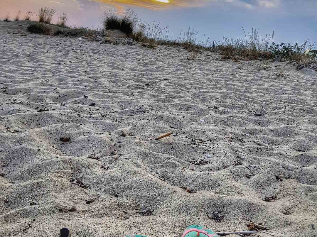 Potamos Beach景点图片