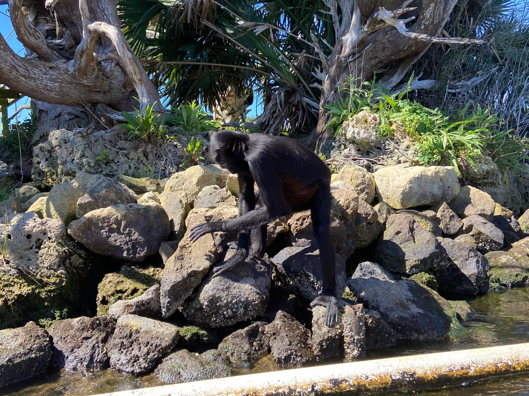 Monkey Island Riverside Resort主图