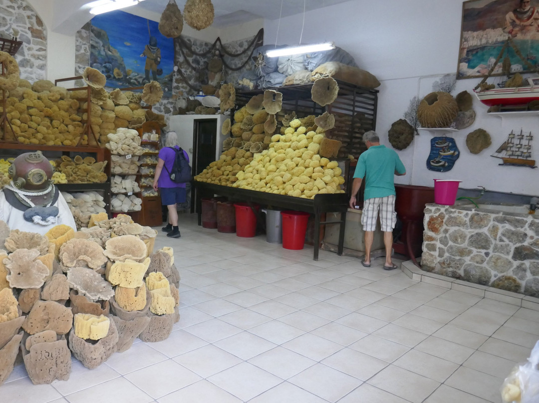 Factory of Natural Sponges-Pothia必去景点