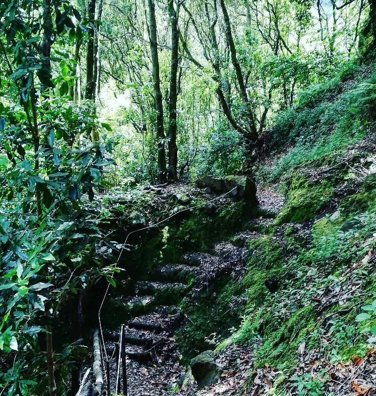 Levada do Castelejo景点图片