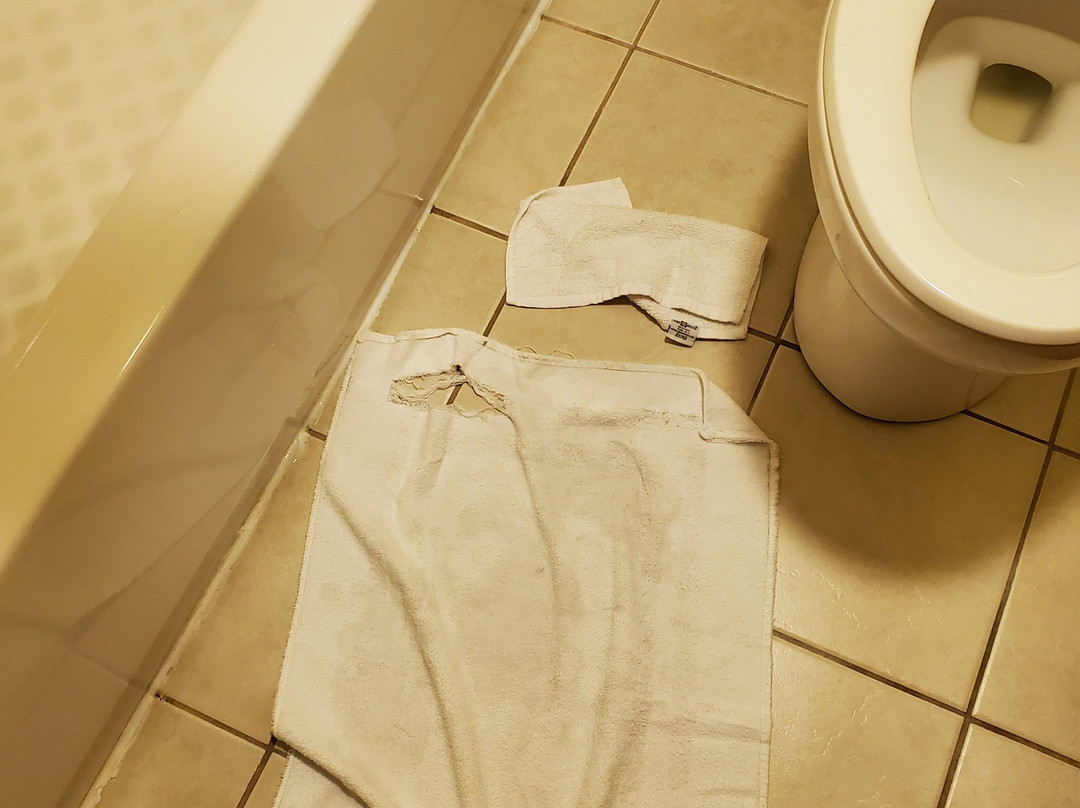 Super 8 by Wyndham Newton主图