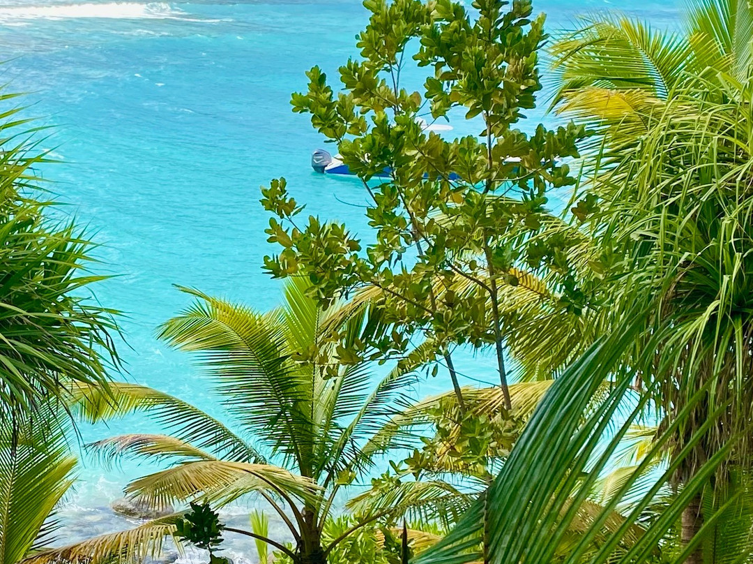 North Island Seychelles主图