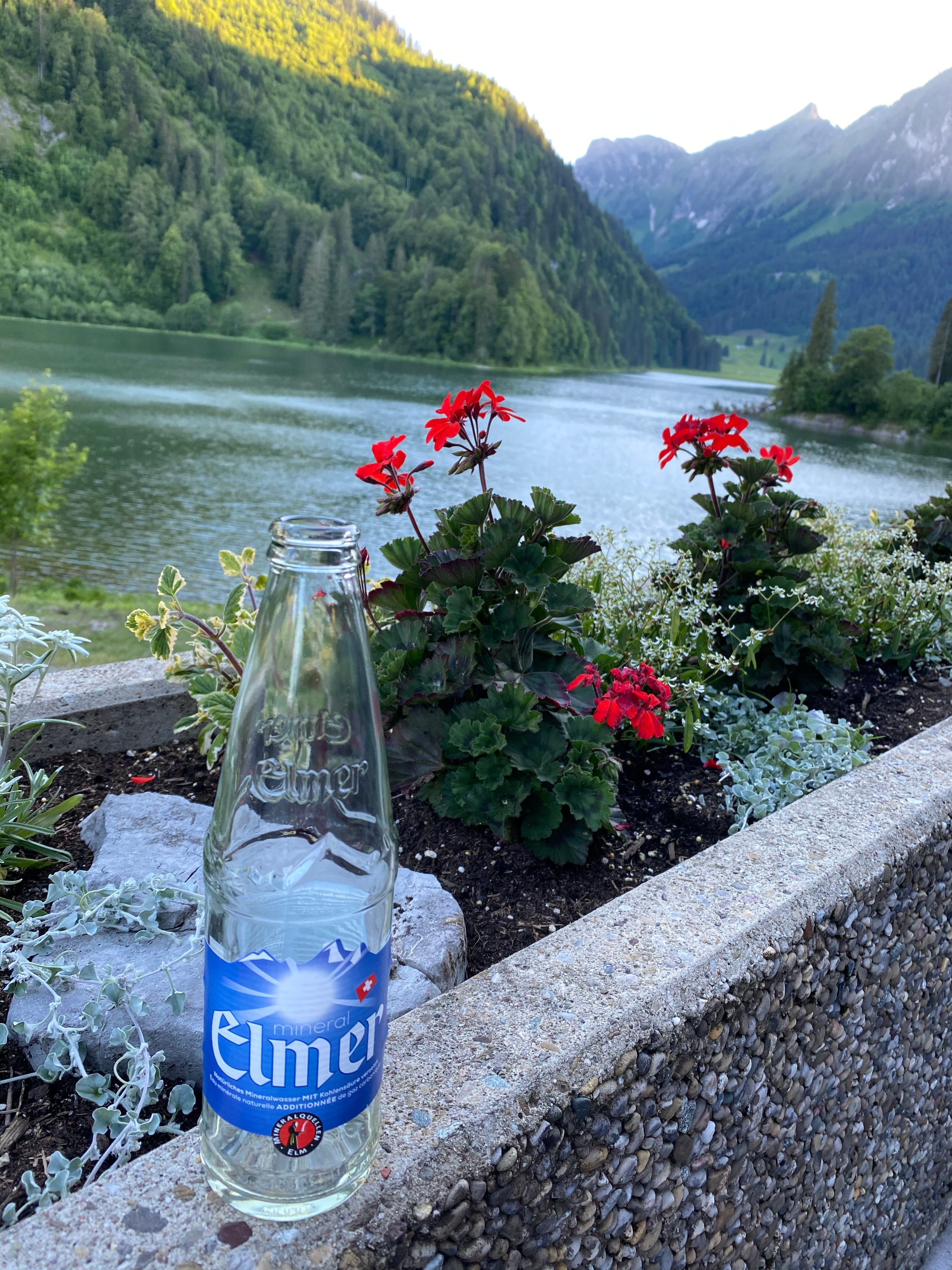 Berghotel Obersee-餐饮