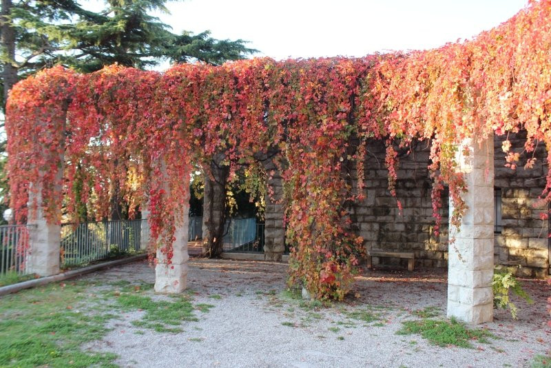 Giardino San Michele景点图片