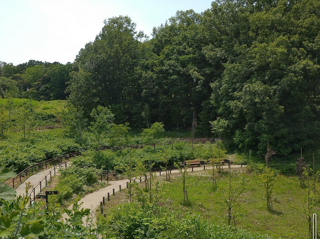 Yakushiike Park-町田市必去景点