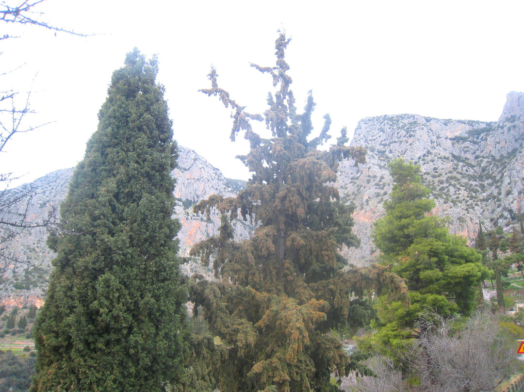 Mount Parnassus-德尔斐必去景点