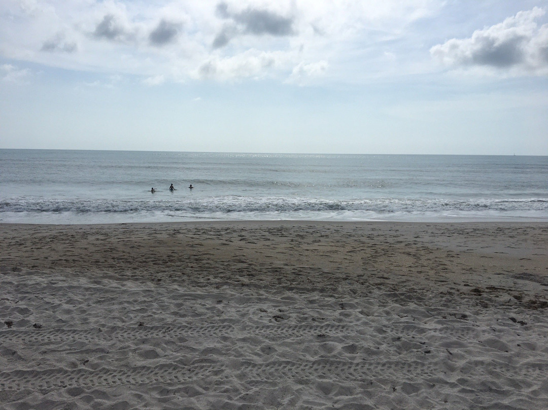 Jaycee Park-维罗海滩必去景点