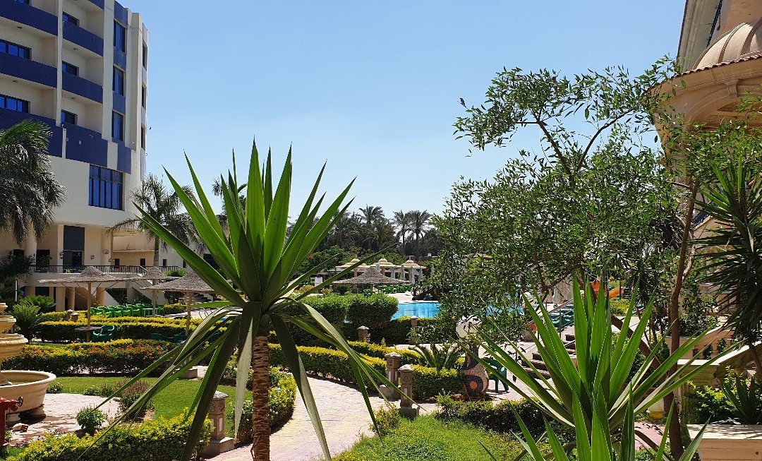 Green Desert Hotel主图