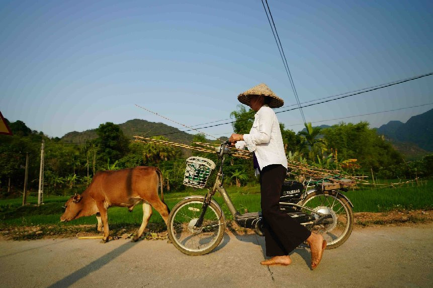 Mai Chau Tours景点图片